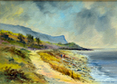COASTAL1154